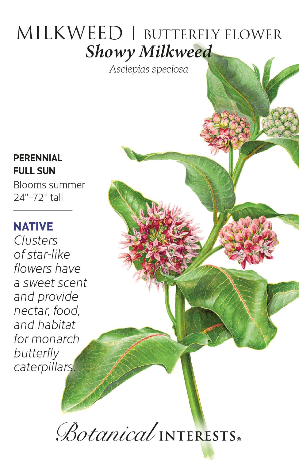 Botanical Interests Milkweed Showy Butterfly Flower Seeds