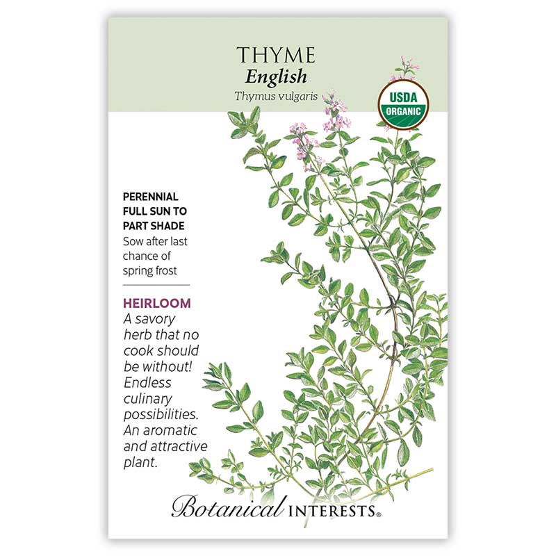 thyme flower seeds English Thyme Seeds Organic