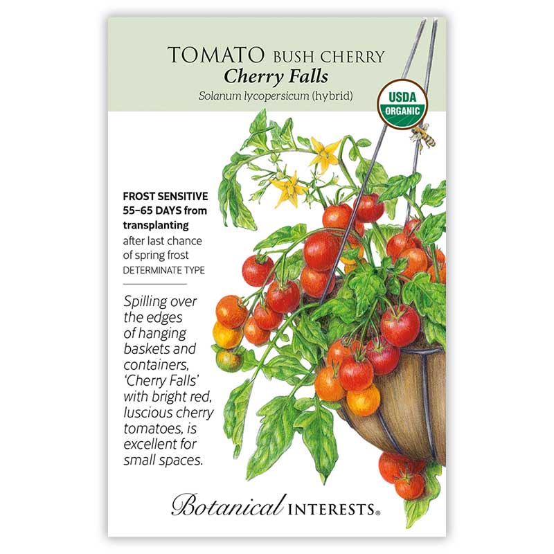 organic hanging tomato plants Cherry Falls Bush Cherry Tomato Organic Seeds