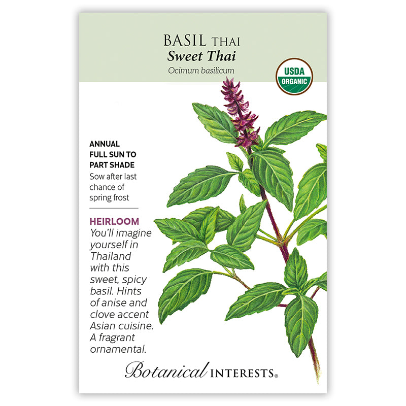 Botanical Interests Basil Sweet Thai Organic Seeds