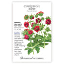 Botanical Interests Cinquefoil Scarlet Seeds