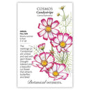 Cosmos Candystripe seed packet with floral illustration and text