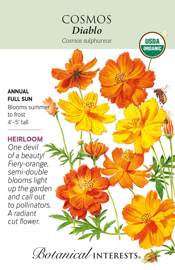 Botanical Interests Cosmos Diablo Organic Seeds
