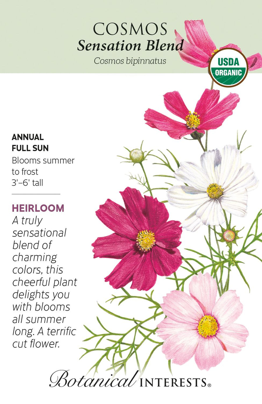 organic cut flower seeds Sensation Blend Cosmos Seeds