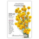 Botanical Interests Craspedia Drumstick Flower Seeds