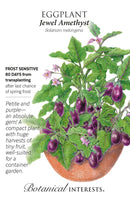 Botanical Interests Eggplant Jewel Amethyst Seeds