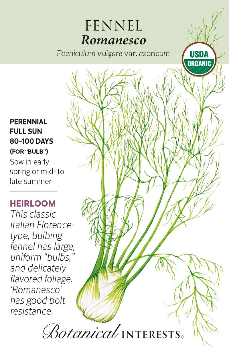 Botanical Interests Fennel Romanesco Organic Seeds