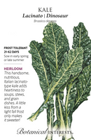 Botanical Interests Kale Lacinato Dinosaur Organic Seeds