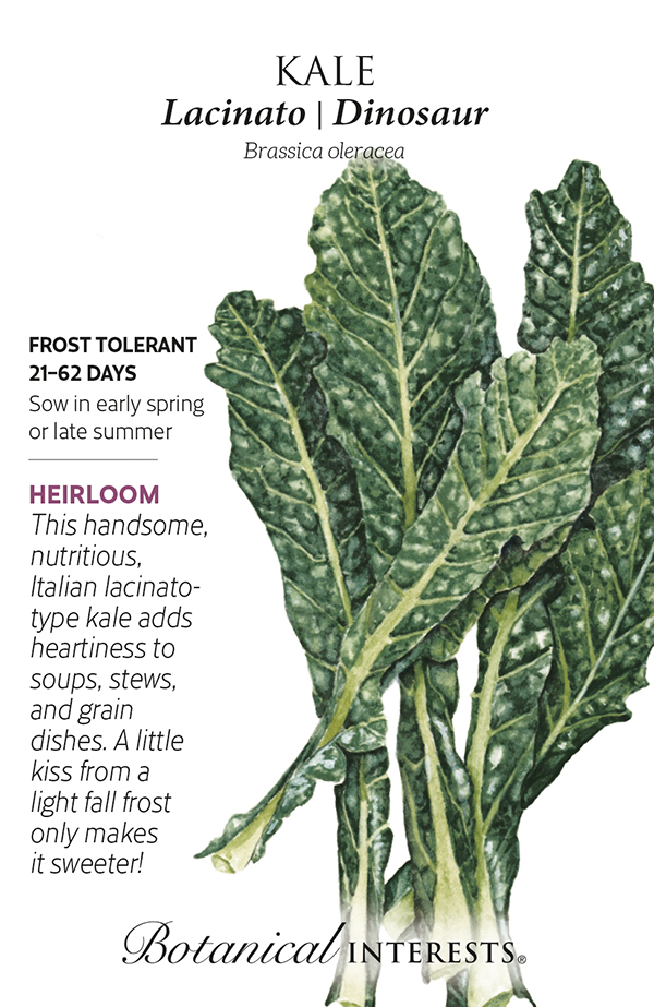 Botanical Interests Kale Lacinato Dinosaur Organic Seeds