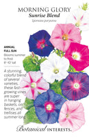 Botanical Interests Morning Glory Sunrise Blend Seeds