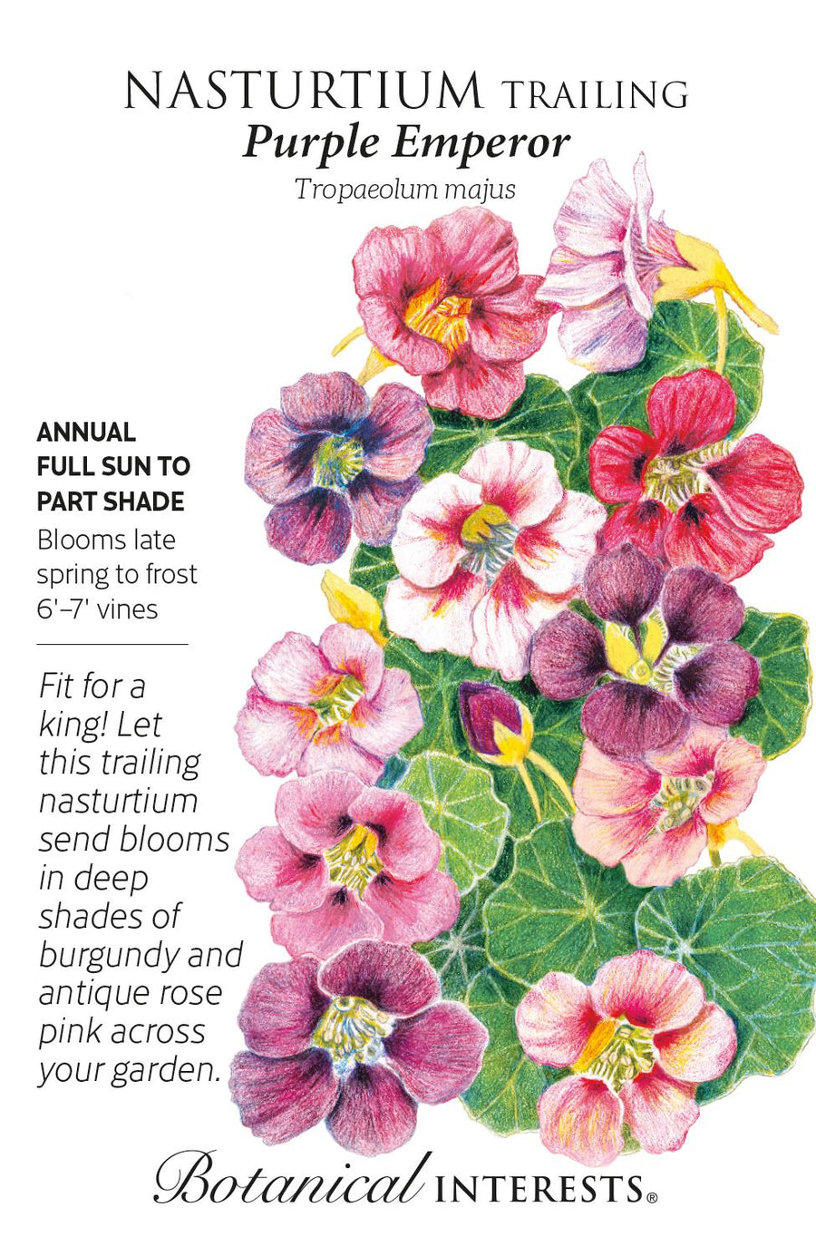the emperor and the flower seeds Botanical Interests Nasturtium Purple Emperor Seeds