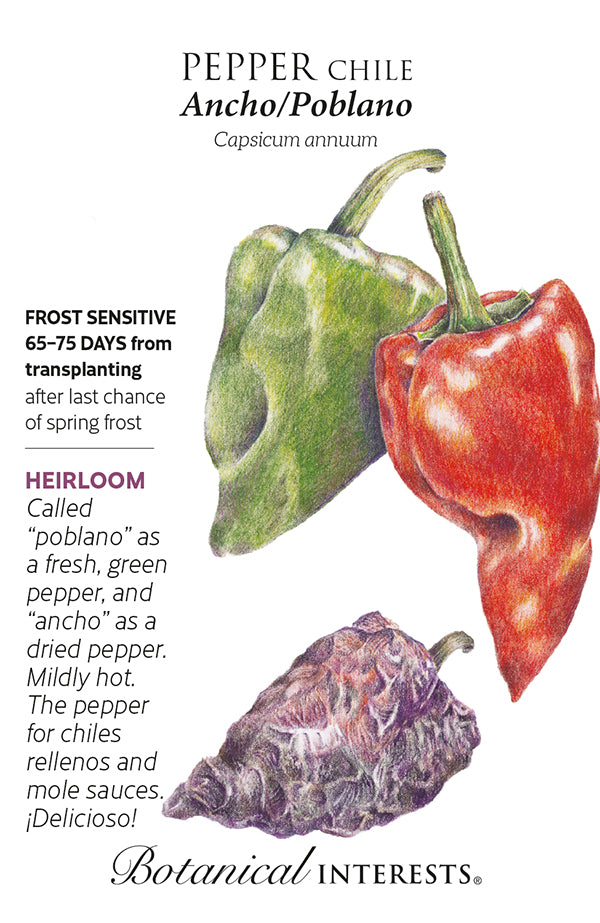 Botanical Interests Pepper Chile Ancho Poblano Seeds