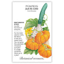 Pumpkin Jack Be Little Seeds 1g - Botanical Interests Miniature Decorative Pumpkins for Fall Decor