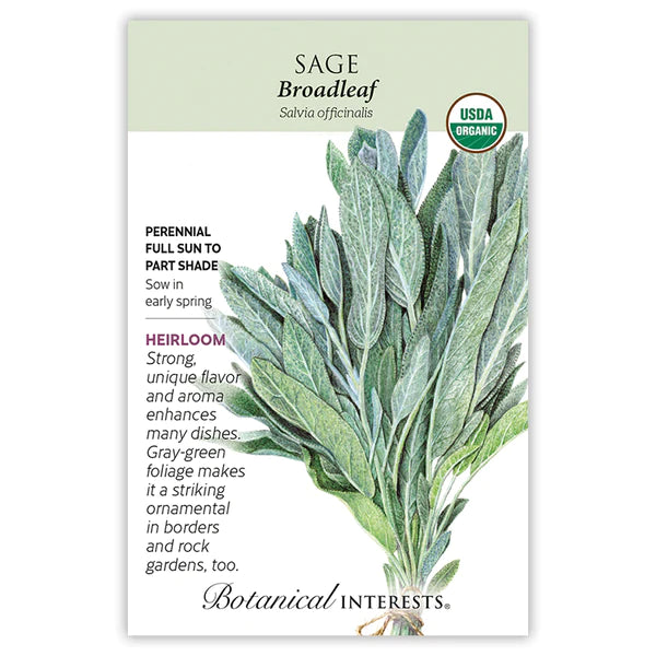 Botanical Interests Sage Broadleaf Organic Seeds