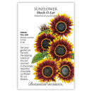 Sunflower Shock-O-Lat Seeds 20ct - Botanical Interests Unique Burgundy-Red Sunflowers for Cutting Gardens
