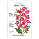 A vertical botanical card for Sweet Pea 'Elegance Lipstick' showing a watercolor-style illustration of pink flowers and green leaves on a white background, with text describing the plant and the brand Botanical Interests.