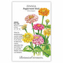 Zinnia Peppermint Stick seed packet with colorful flowers and botanical details.