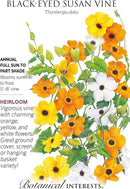 Black-Eyed Susan Vine Seeds 20ct - Botanical Interests Thunbergia Alata Climbing Flower for Trellises