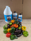Neptune's Harvest Fish & Seaweed Fertilizer 2-3-1 - OMRI Listed Organic Hydrolyzed Fish & Seaweed Blend