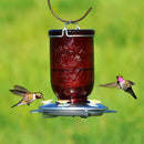 Perky-Pet Hummingbird Feeder Red Mason Jar 786