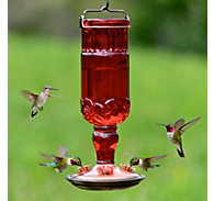Perky-Pet® Red Antique Bottle Glass Hummingbird Feeder 8119-2