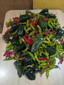 Botanical Interests Pepper Chile Shishito Organic Seeds