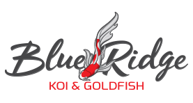 Blue Ridge KOI & Goldfish Food Cool Water Wheat - CF Hydroponics