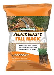 Black Beauty® Fall Magic Grass Seed - CF Hydroponics