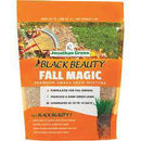 Black Beauty® Fall Magic Grass Seed - CF Hydroponics