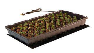 Jump Start Seedling Heat Mat - CF Hydroponics