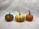 Gourds, Mini Pumpkins & Mini Gourds - CF Hydroponics