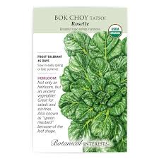 Botanical Interests Bok Choy Tatsoi Rosette Organic Seeds - CF Hydroponics