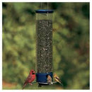 Droll Yankees® Yankee Whipper® Squirrel-Proof Bird Feeder - CF Hydroponics