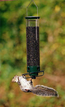 Droll Yankees® Yankee Flipper® Squirrel-Proof Bird Feeder - CF Hydroponics