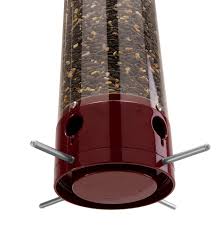 Droll Yankees® Yankee Dipper® Squirrel-Proof Bird Feeder - CF Hydroponics