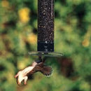Droll Yankees® Yankee Tipper® Squirrel-Proof Bird Feeder - CF Hydroponics