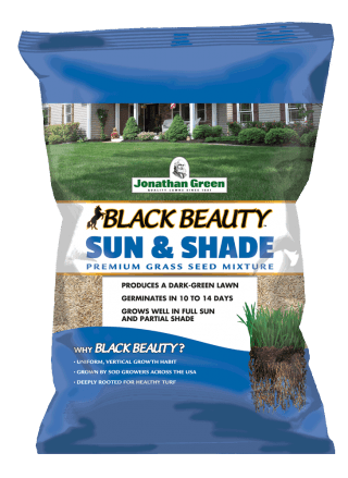 Black Beauty® Sun & Shade Grass Seed - CF Hydroponics