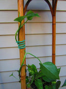 Garden Soft Tie - CF Hydroponics