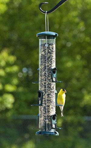 Audubon WoodLink Seed Tube Bird Feeder