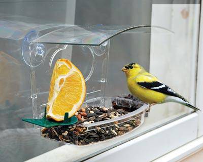 Audubon Woodlink Mixed Treat Window Bird Feeder NAWFDR - CF Hydroponics