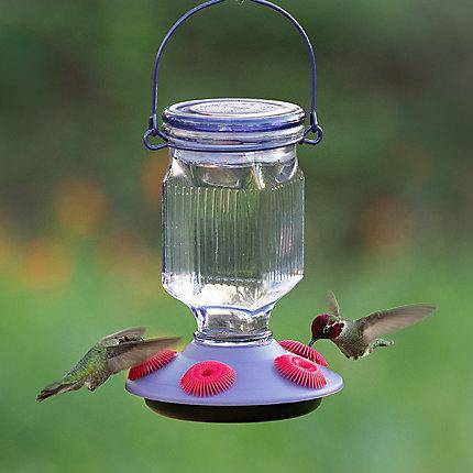 Perky-Pet® Lavender Field Top-Fill Glass Hummingbird Feeder - 16 oz Nectar Capacity - CF Hydroponics