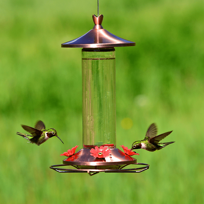 Perky-Pet® Elegant Copper Glass Hummingbird Feeder - 12 oz Nectar Capacity - CF Hydroponics