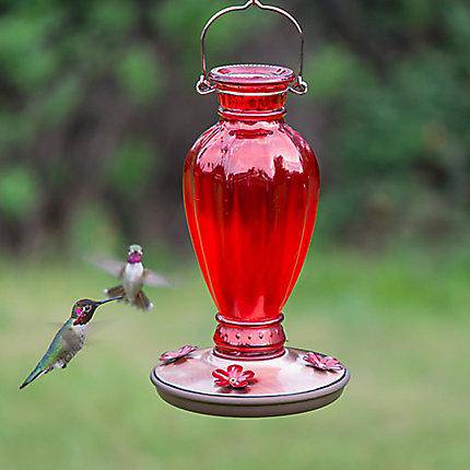 Perky-Pet® Daisy Vase Vintage Red Hummingbird Feeder - 18 oz. Nectar Capacity - CF Hydroponics
