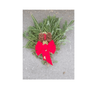 Fresh Natural Christmas Grave Stake - CF Hydroponics