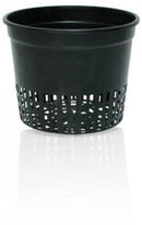 Net Cups - CF Hydroponics