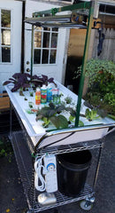 Floating Raft System w/Cart (Entry Level) - CF Hydroponics