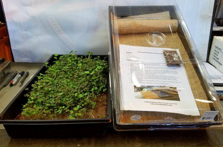 Microgreens Grow Kit 10" x 20" - CF Hydroponics