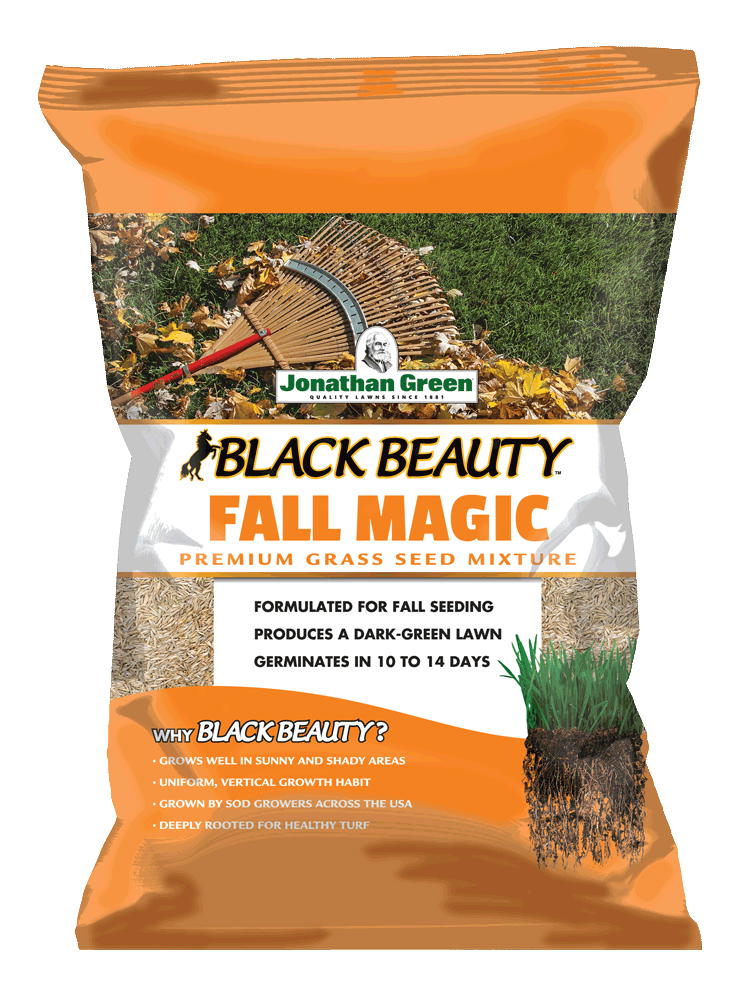 Black Beauty® Fall Magic Grass Seed