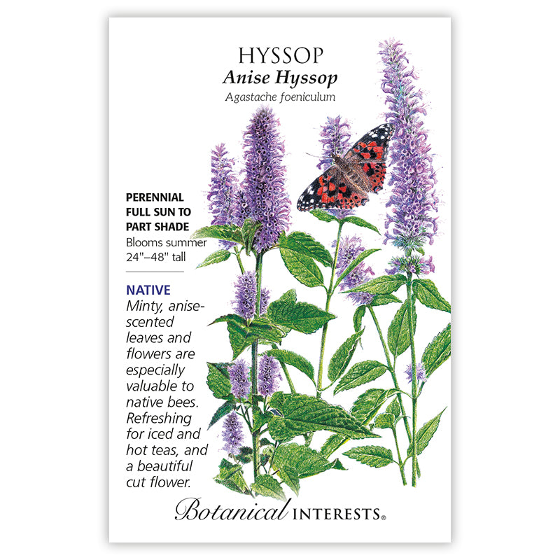 Botanical Interests Hyssop Anise Organic Seeds - CF Hydroponics