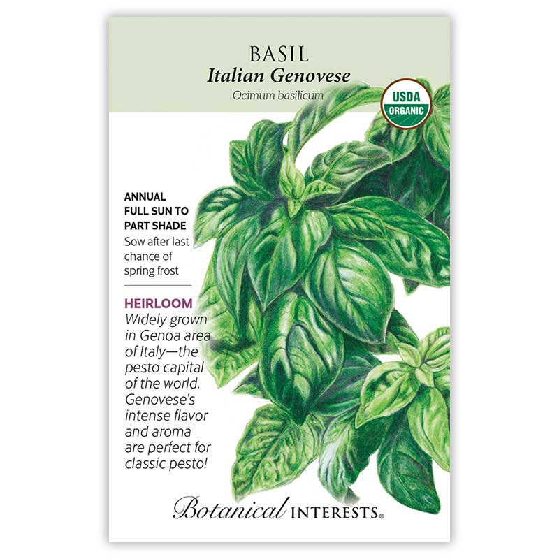 Botanical Interests Basil Italian Genovese Organic Seeds 1.5 grams